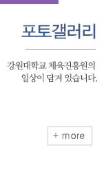 포토갤러리